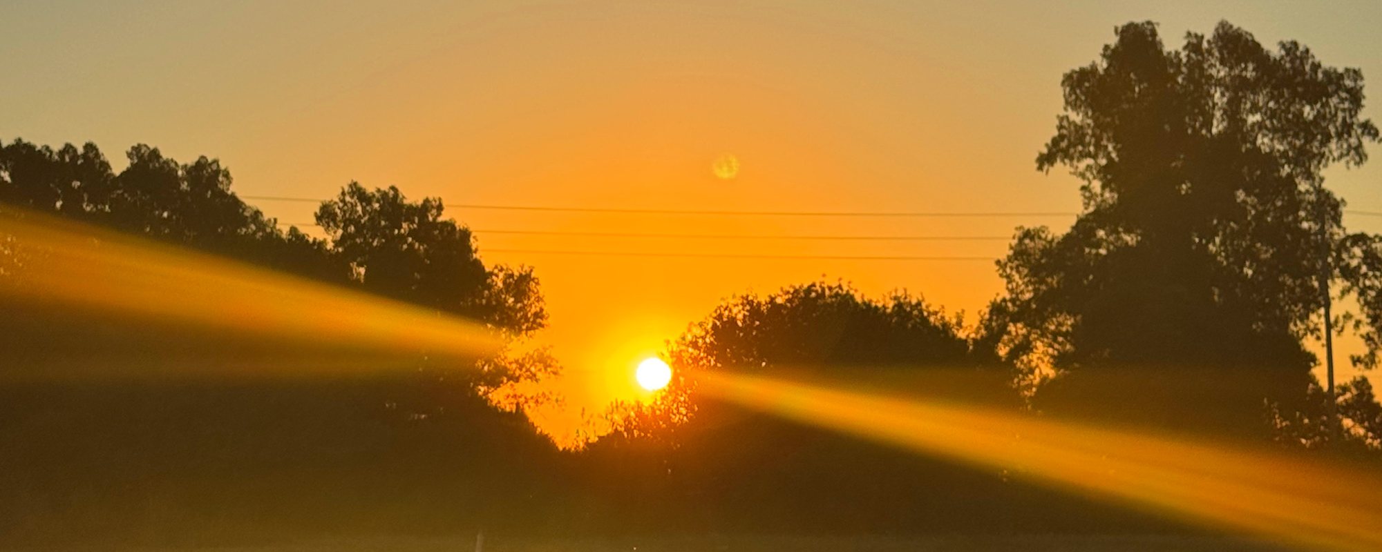Atardecer sobre los campos de Zelaya, Pilar